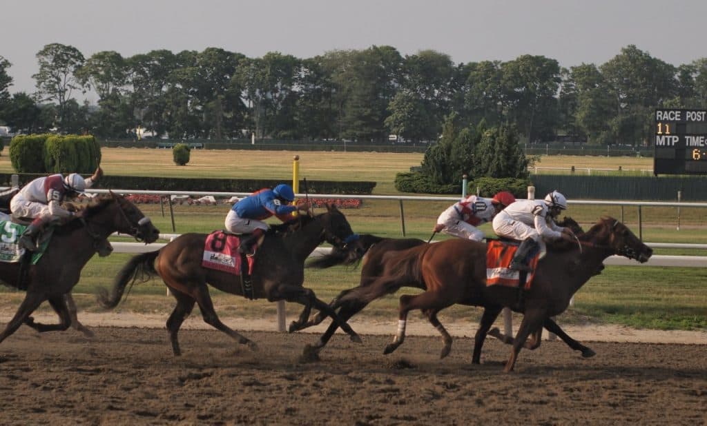 #7 Drosselmeyer edges past #11 First Dude to take the lead, followed by #8 Game On Dude and #5 Fly Down, who would take 2nd place - 12-1 long shot upsets morning line favorite Ice Box, who came 8th - 142nd Belmont Stakes on June 5, 2010