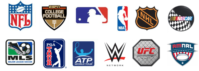 Top Sports to Watch on TV