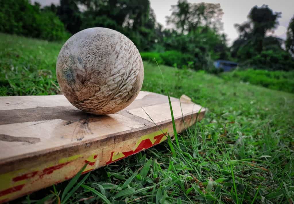 Cricket bat and ball in the grass - 2023 IPL Schedule