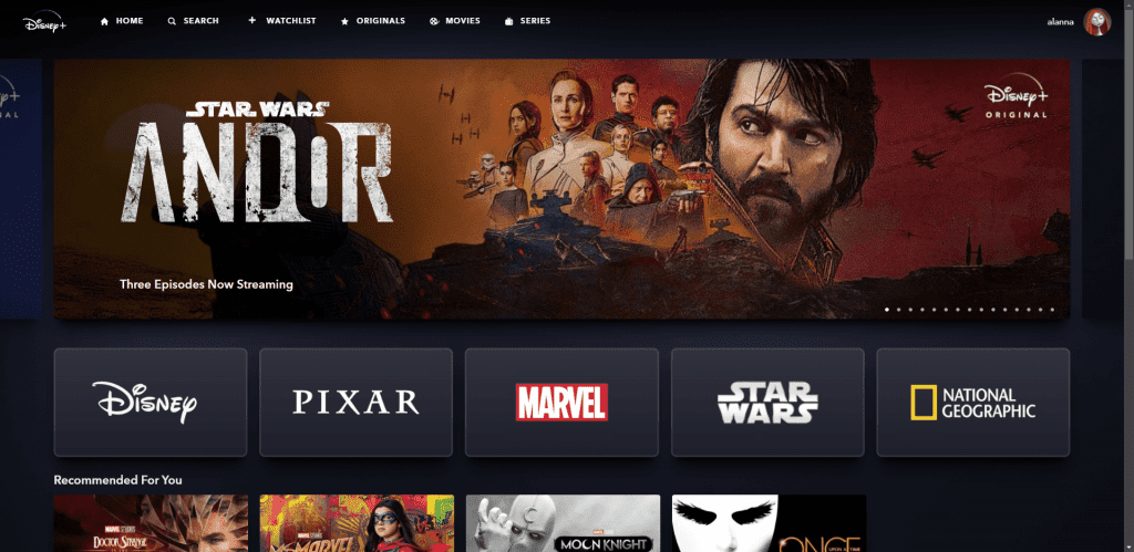 Disney+ Review: Best Streaming Service to Keep Entire Families Happy? -  HotDog