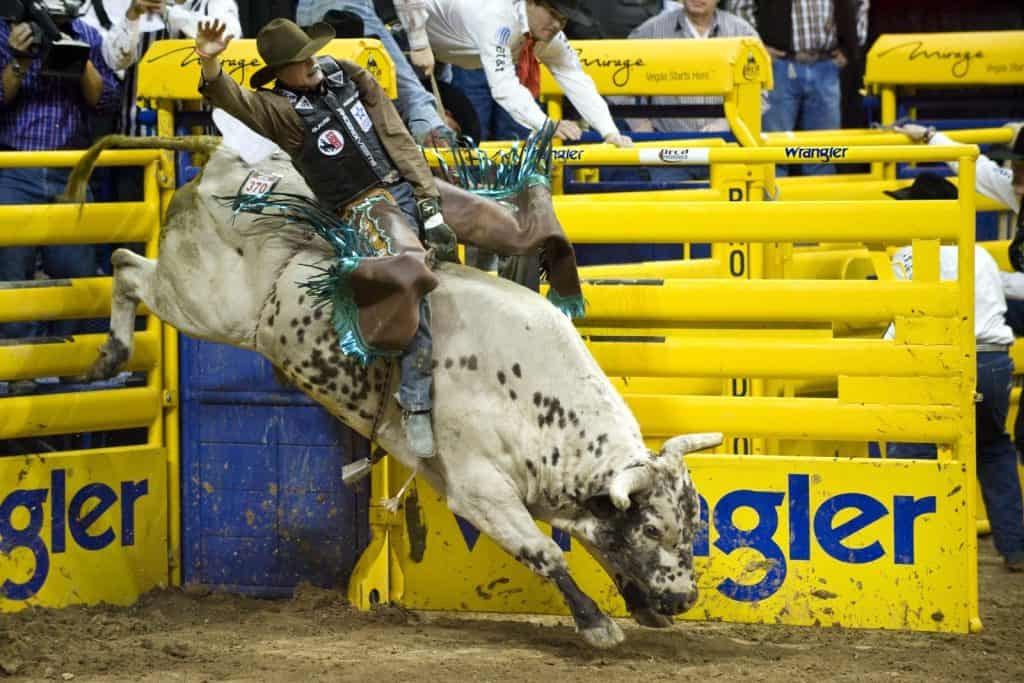 Bull Rider Seth Glause, from Rock Springs, Wyo., rides Texas Sancho during the fourth round of the National Finals Rodeo at the Thomas and Mack Center