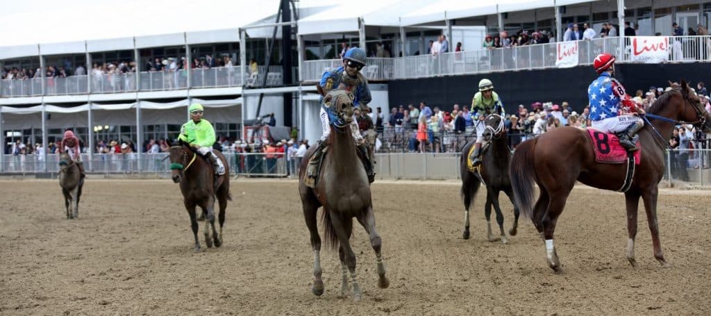 Preakness contenders post-race - watch the Preakness Stakes live on NBC