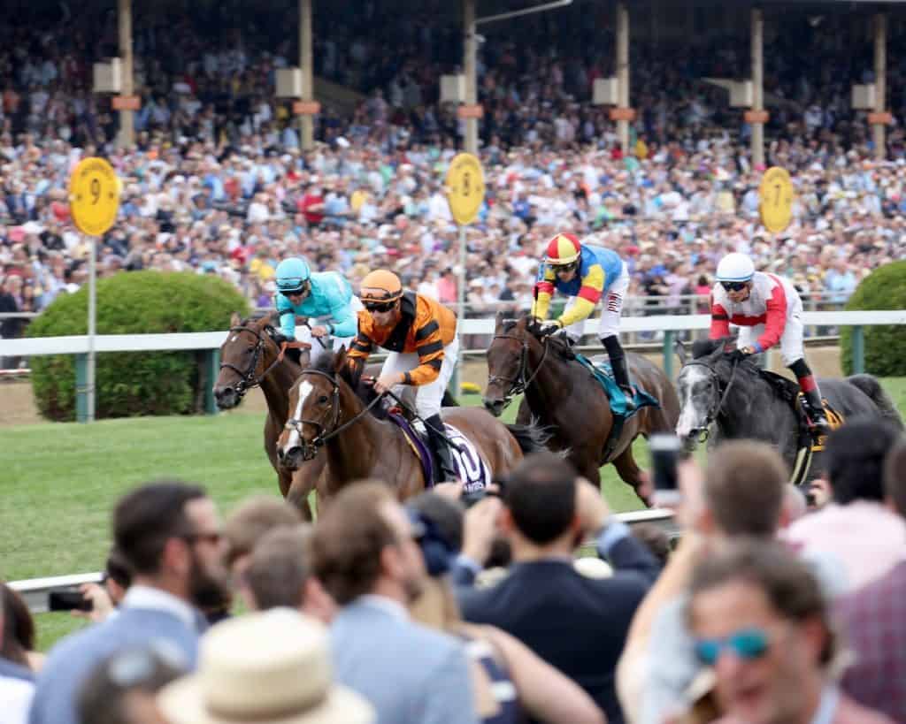 Undercard race over turf at the Preakness Stakes