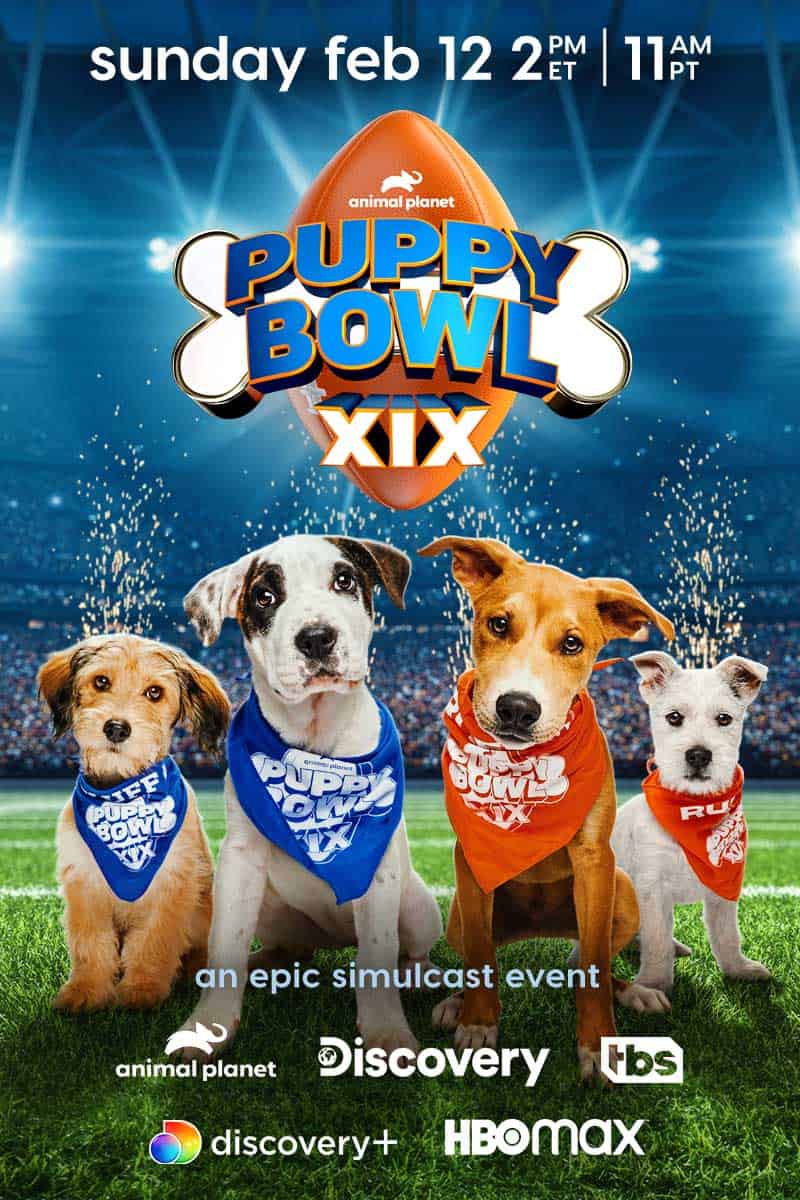 How to Watch the Puppy Bowl Online Without Cable (2023) 