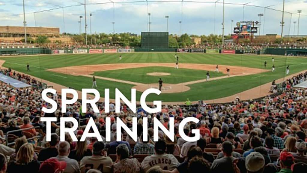 watch Spring Training online