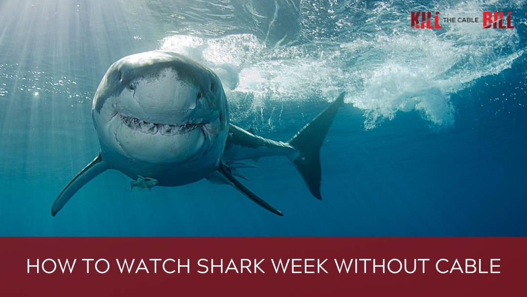 watch shark week online