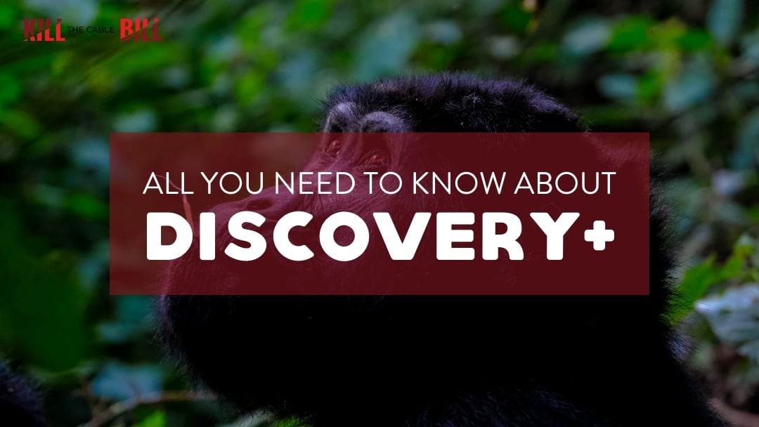 what is discovery+